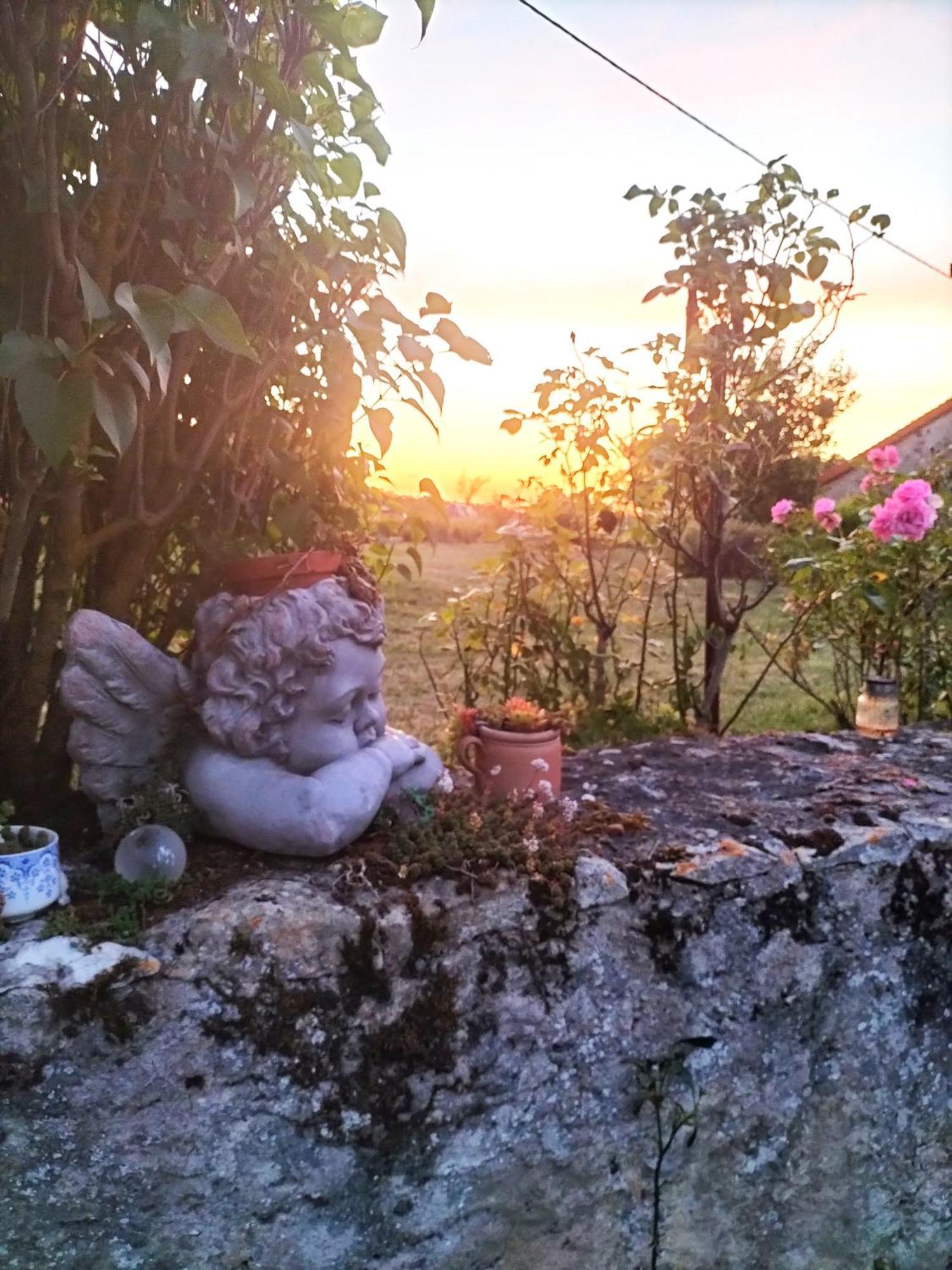 Charmante Maison, Calme Et Nature A La Roche Posay Βίλα Εξωτερικό φωτογραφία