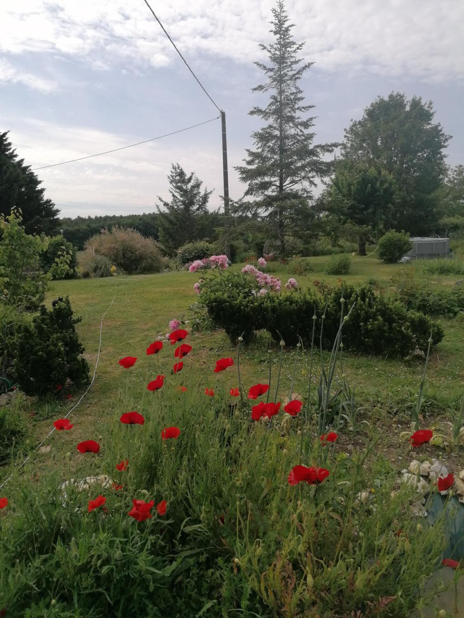 Charmante Maison, Calme Et Nature A La Roche Posay Βίλα Εξωτερικό φωτογραφία