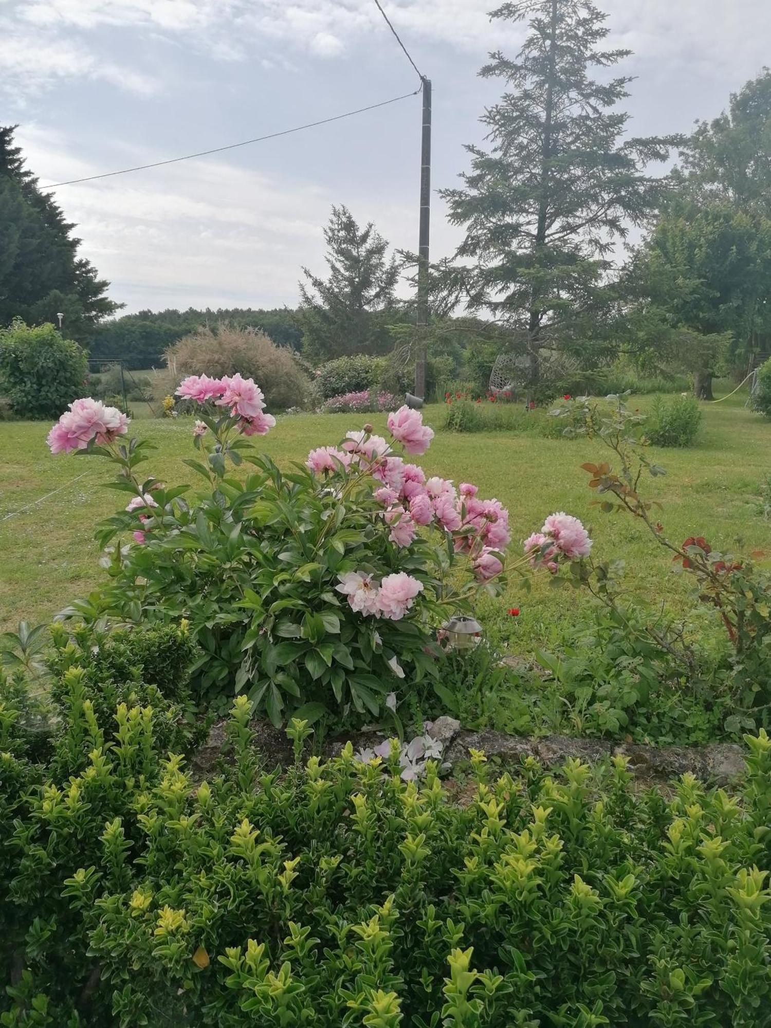 Charmante Maison, Calme Et Nature A La Roche Posay Βίλα Εξωτερικό φωτογραφία