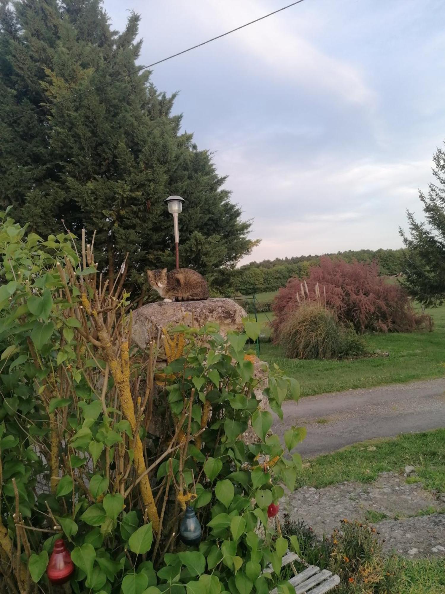 Charmante Maison, Calme Et Nature A La Roche Posay Εξωτερικό φωτογραφία
