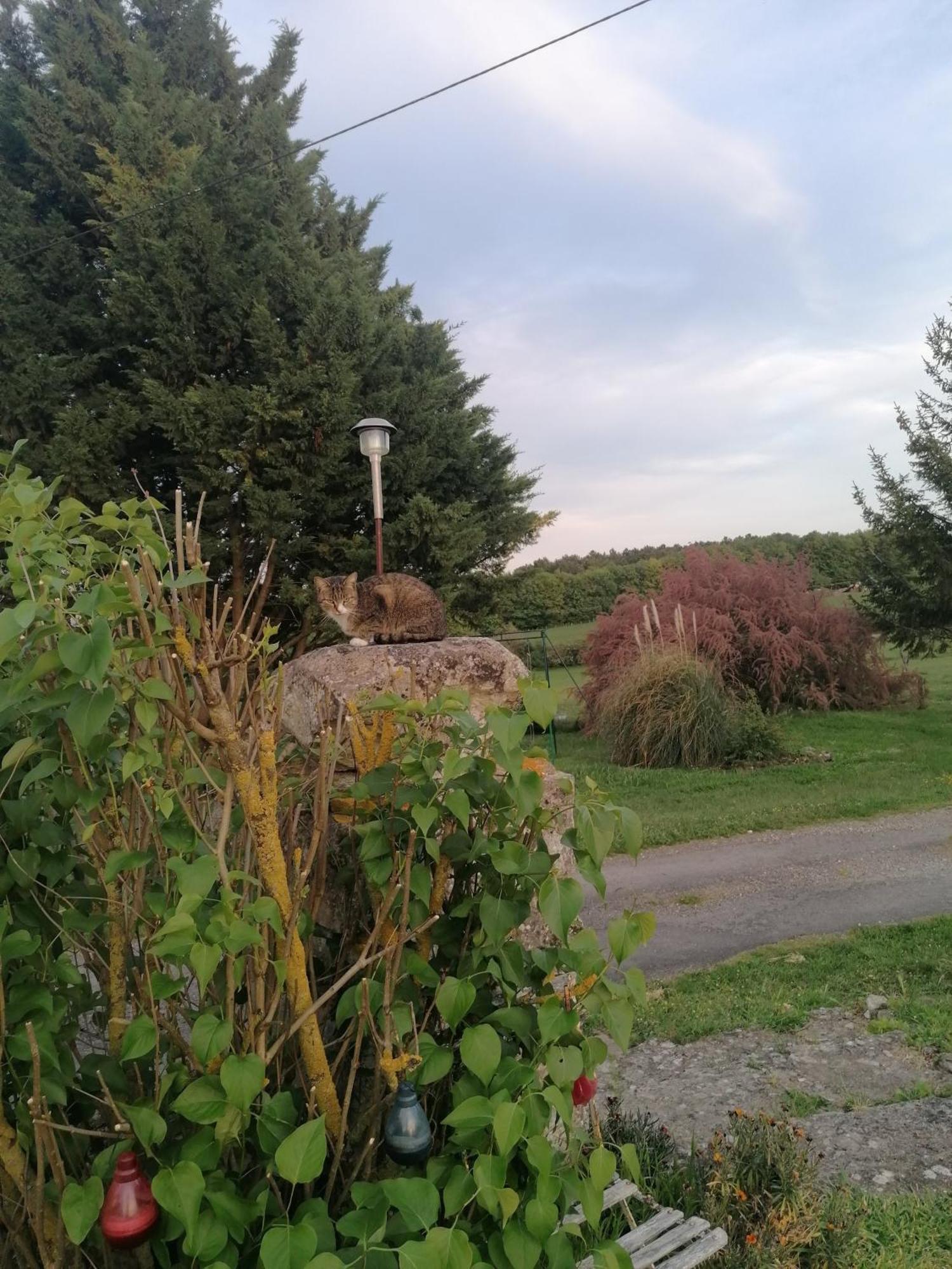 Charmante Maison, Calme Et Nature A La Roche Posay Βίλα Εξωτερικό φωτογραφία